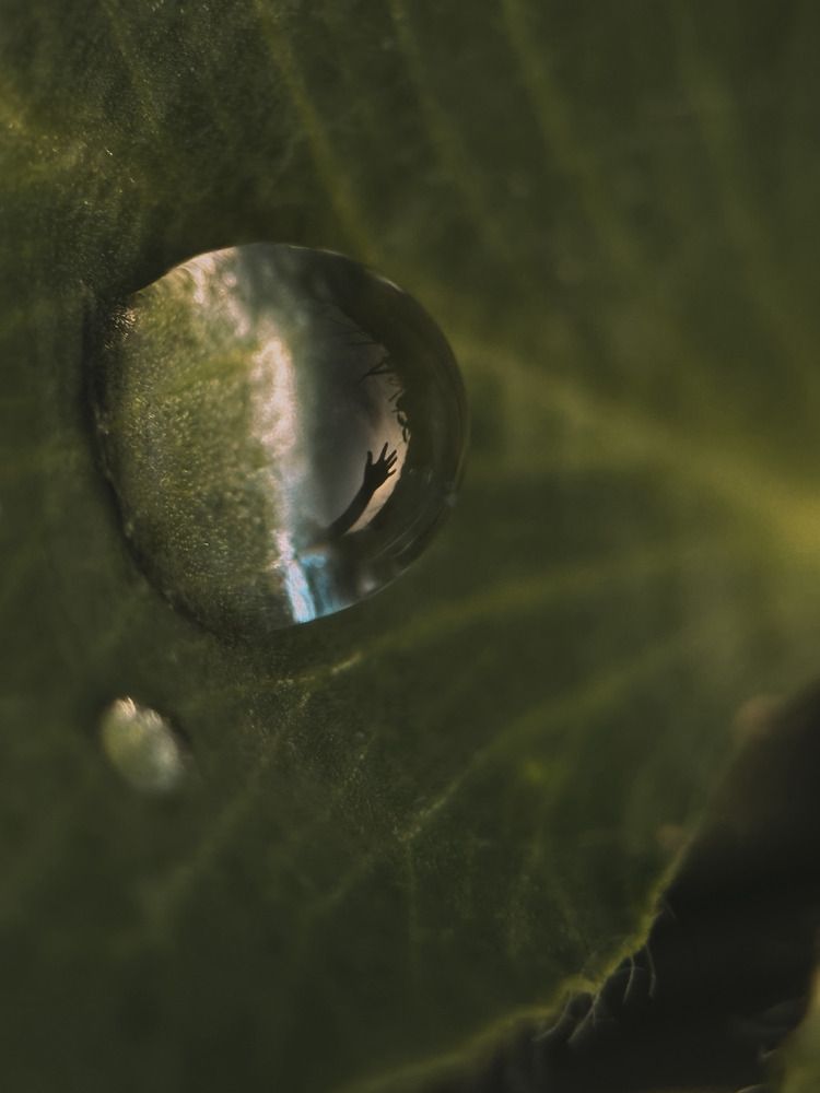 Photograph by Елена Михалева