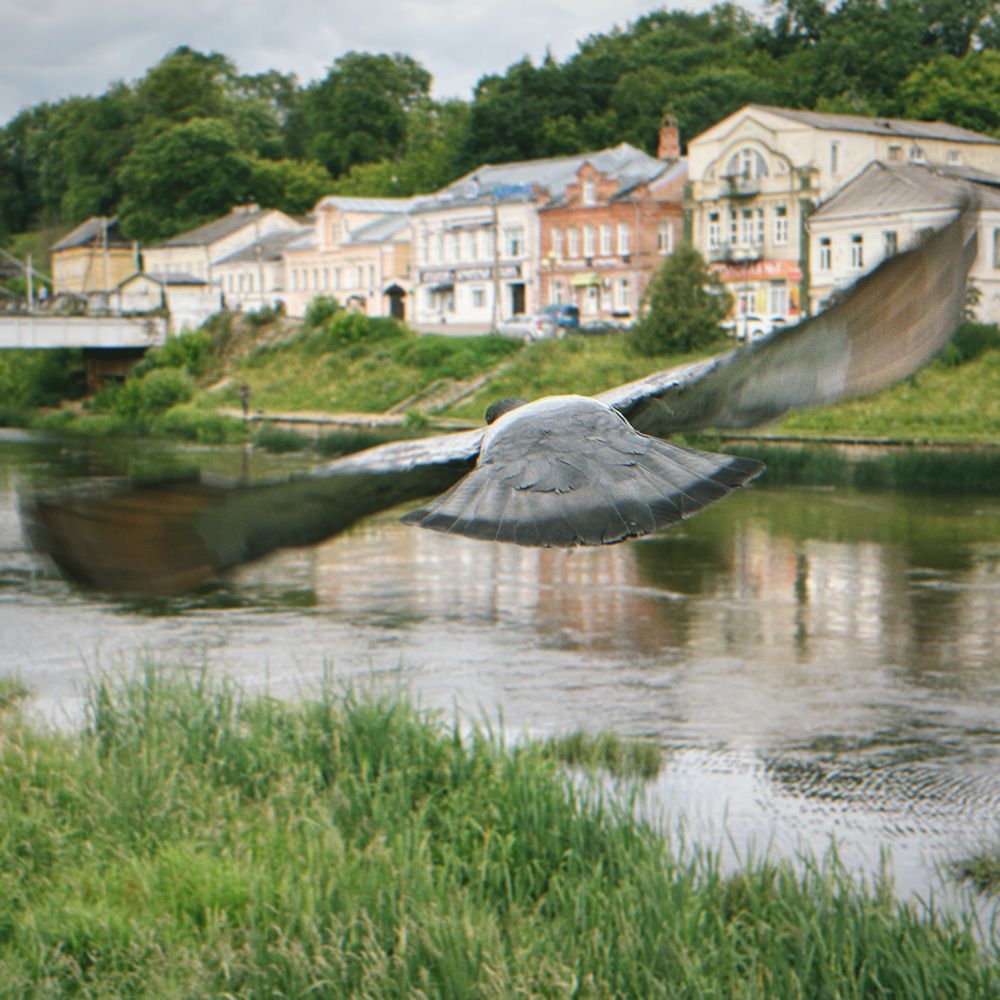 Photograph by Козинец Александр