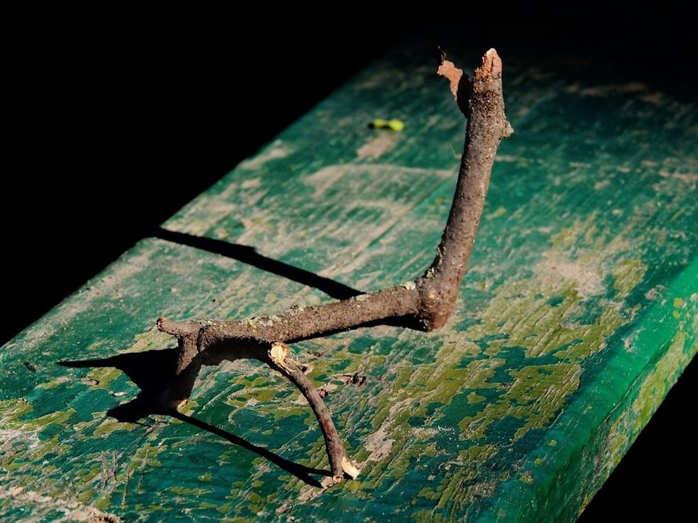 Photograph by Савоцкий Роман