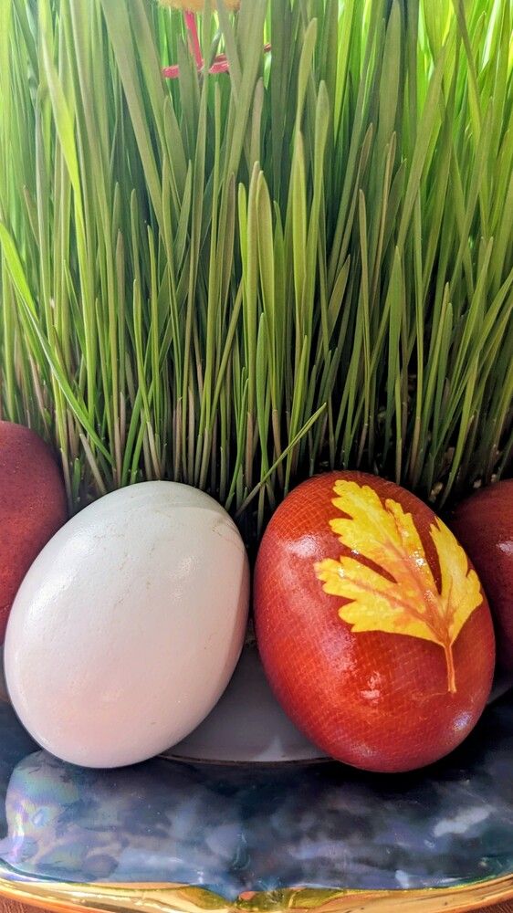 Photograph by Lilit Petrosyan