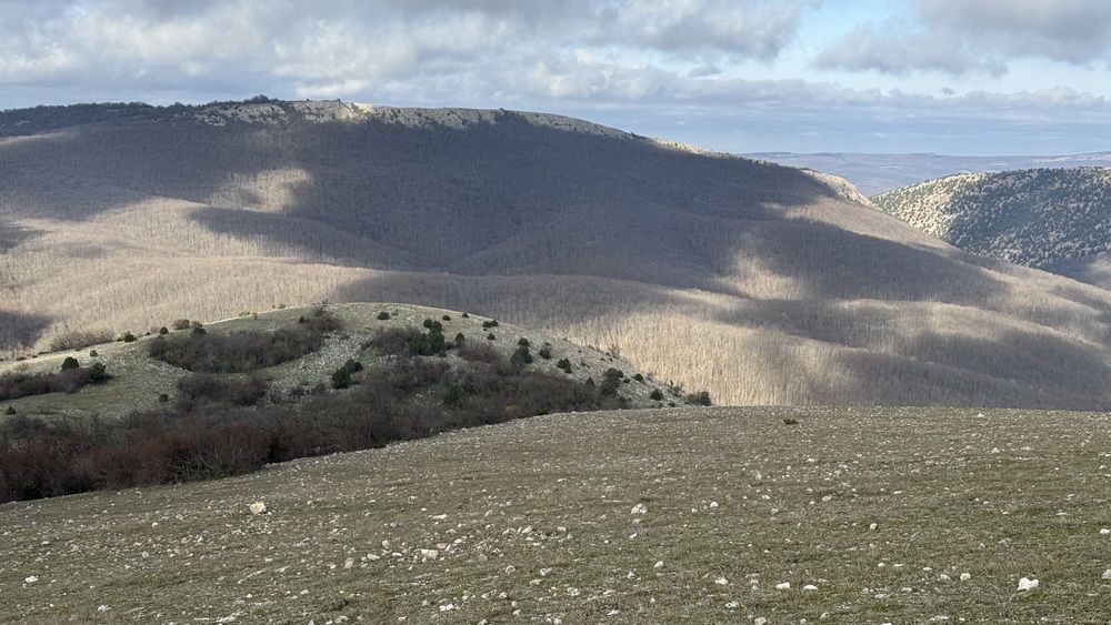 Photograph by Элеонора Бульс