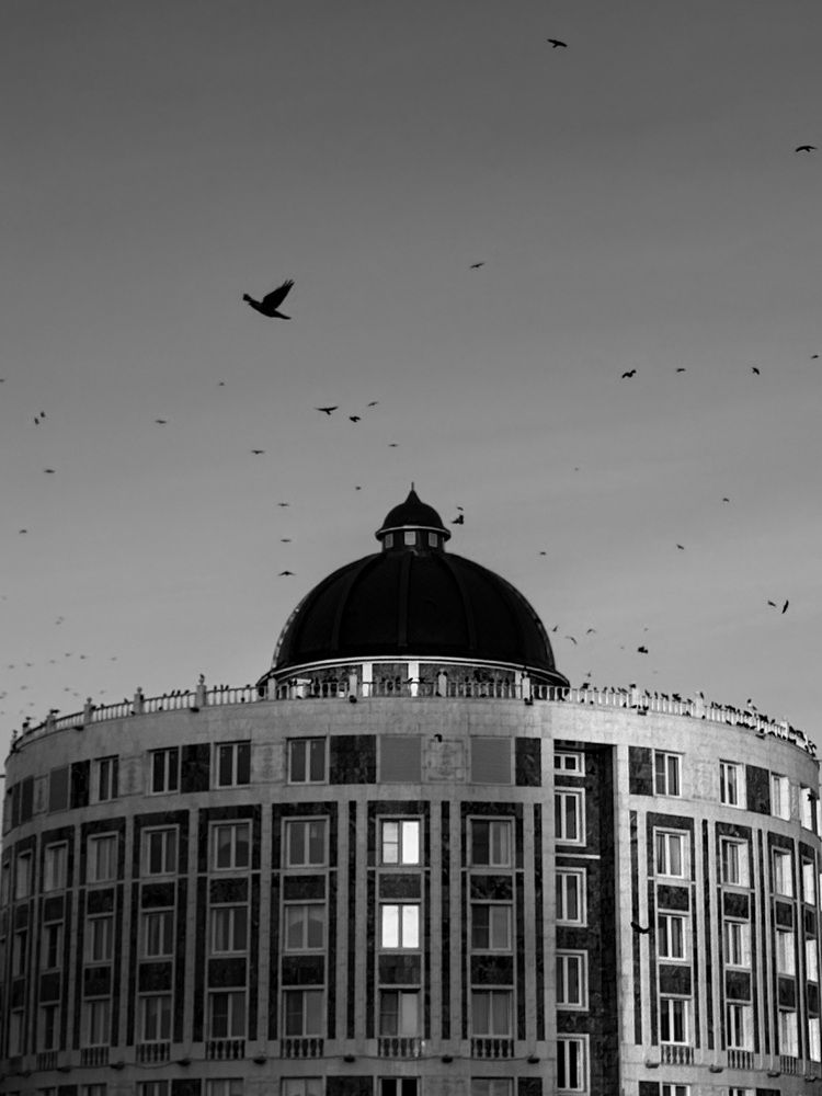 Photograph by Александра Зайниева