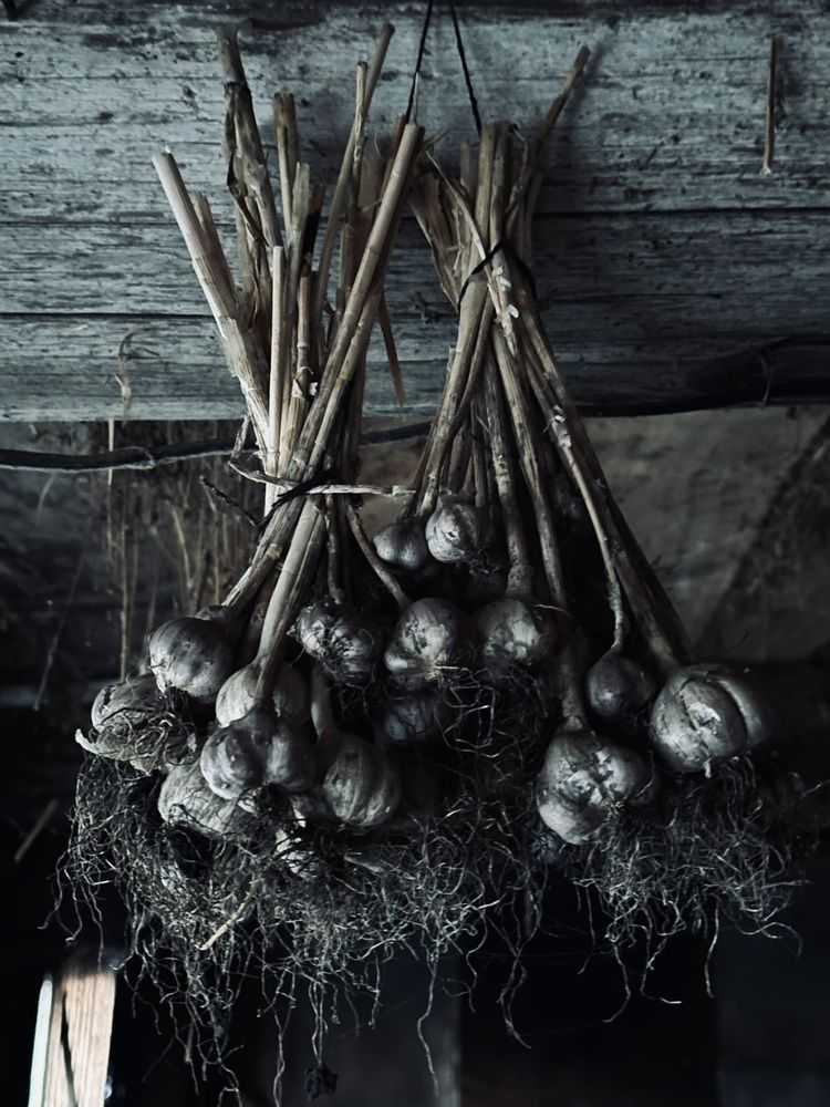 Photograph by Ксения Гулькова