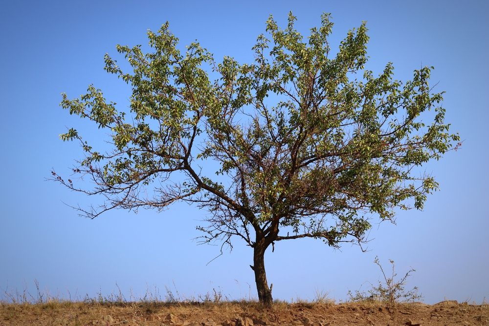 Photograph by Мария Толкачёва