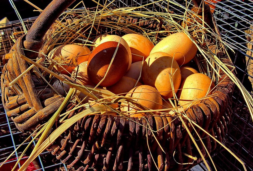 Photograph by Виталий Симоненков