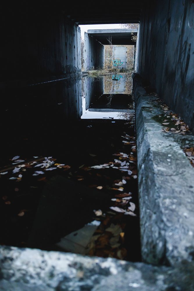 Photograph by Ivan Osipov