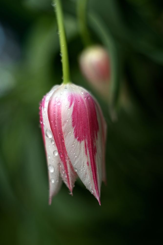 Photograph by Юрий Кашлевский