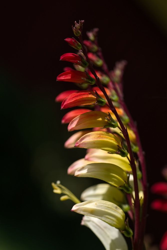 Photograph by Юрий Кашлевский