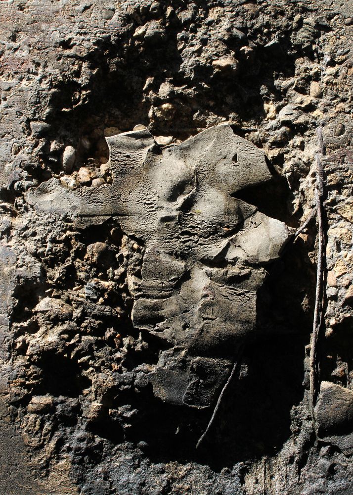 Photograph by Anastasiya Ivanova