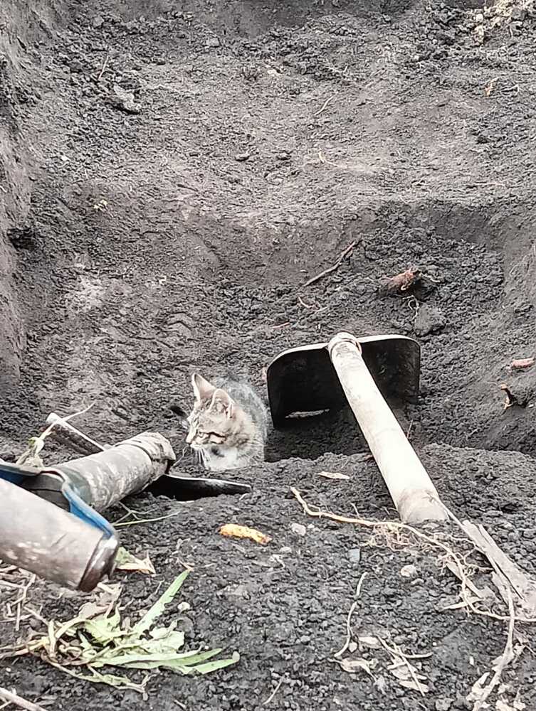 Фотография автора Татьяна