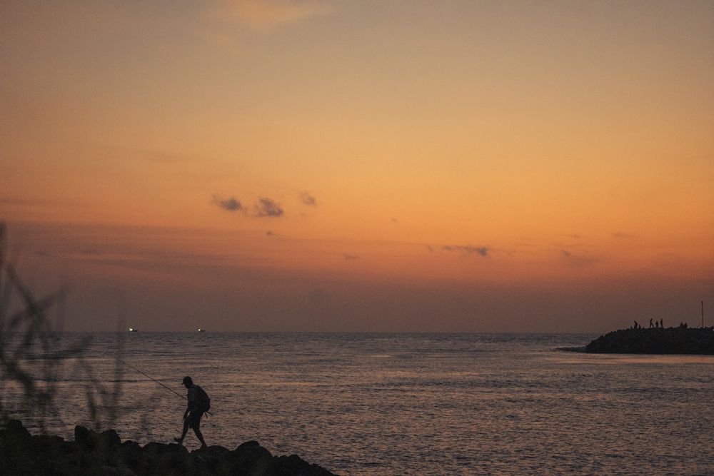 Фотография автора Devanand K S