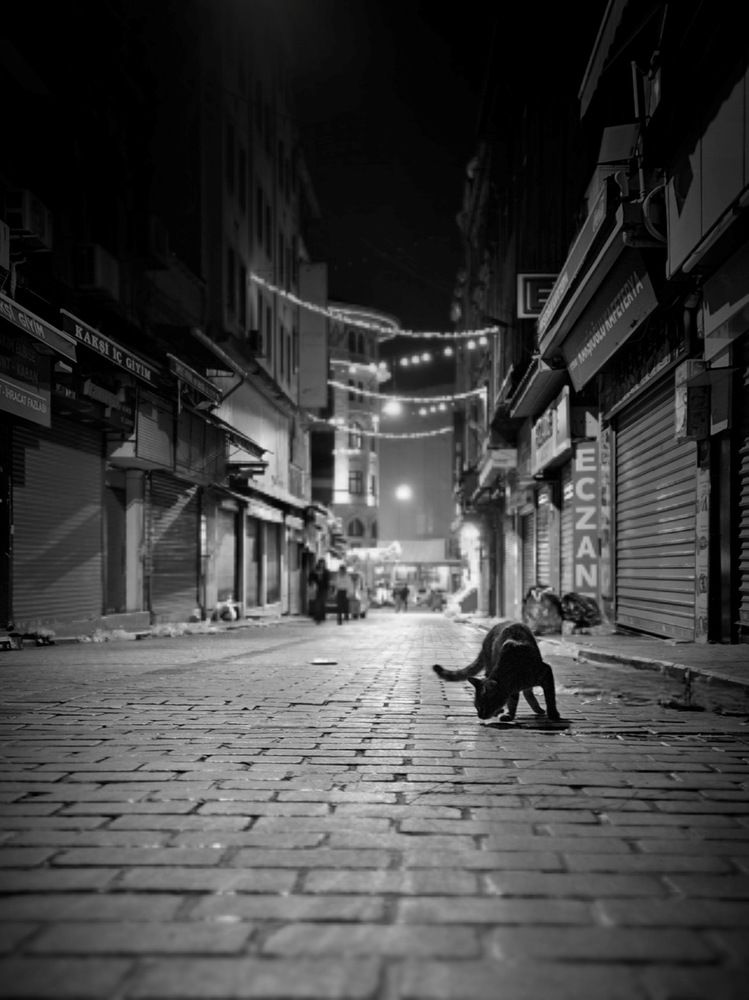 Хранитель темных переулков