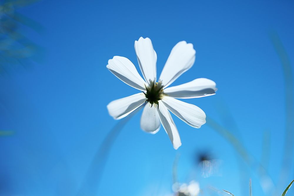 Photograph by Ikuta Hidenori