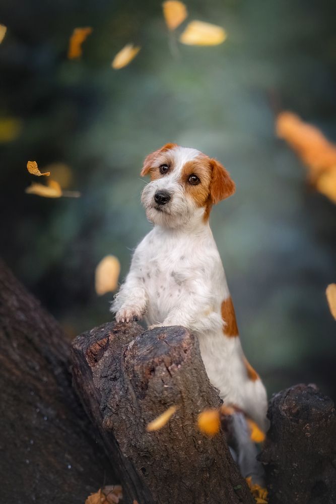 Photograph by Наталья Орел