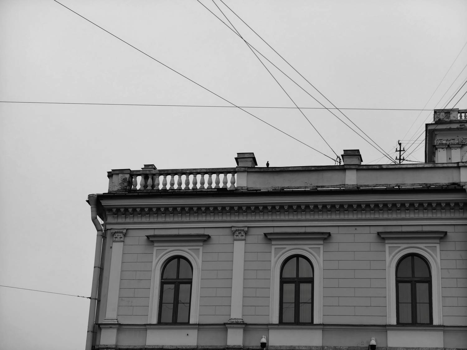 Photo #12933454