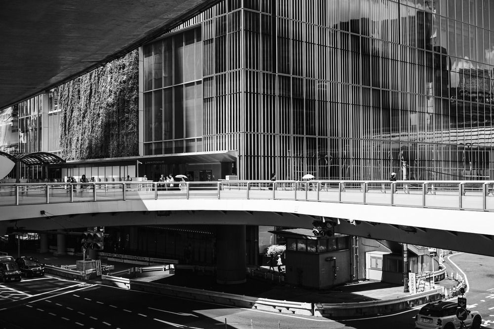 Photograph by Suzuki Ryuta