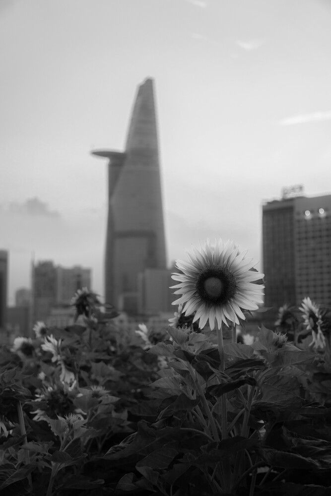 Фотография автора Do Trung