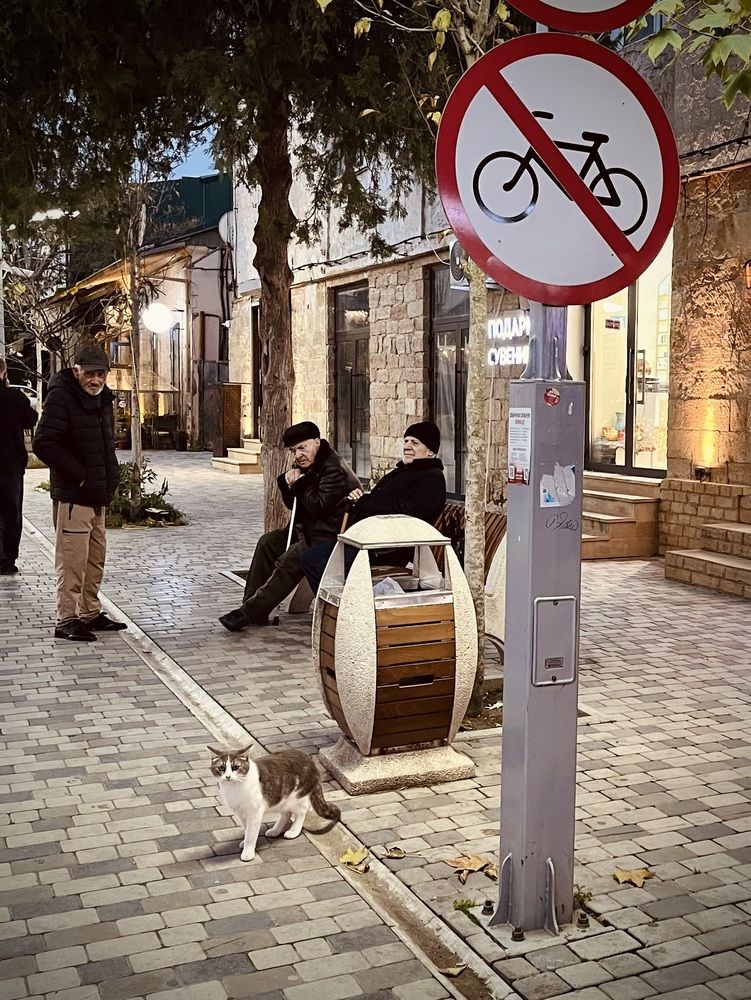 Photograph by Татьяна Лышенко