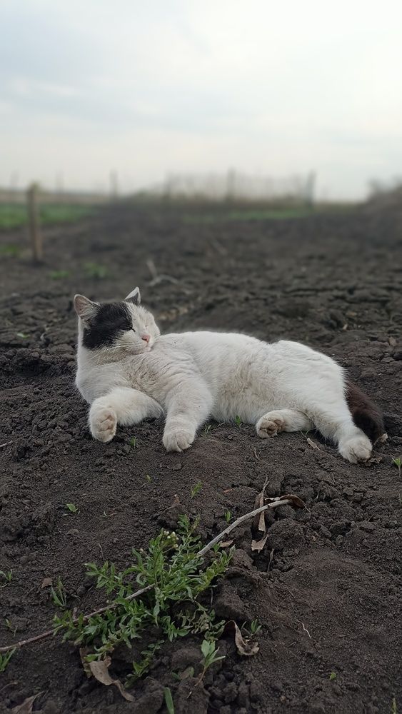 После удачной охоты