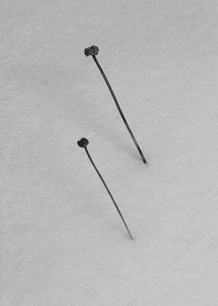 Photograph by Наталья Смирнова