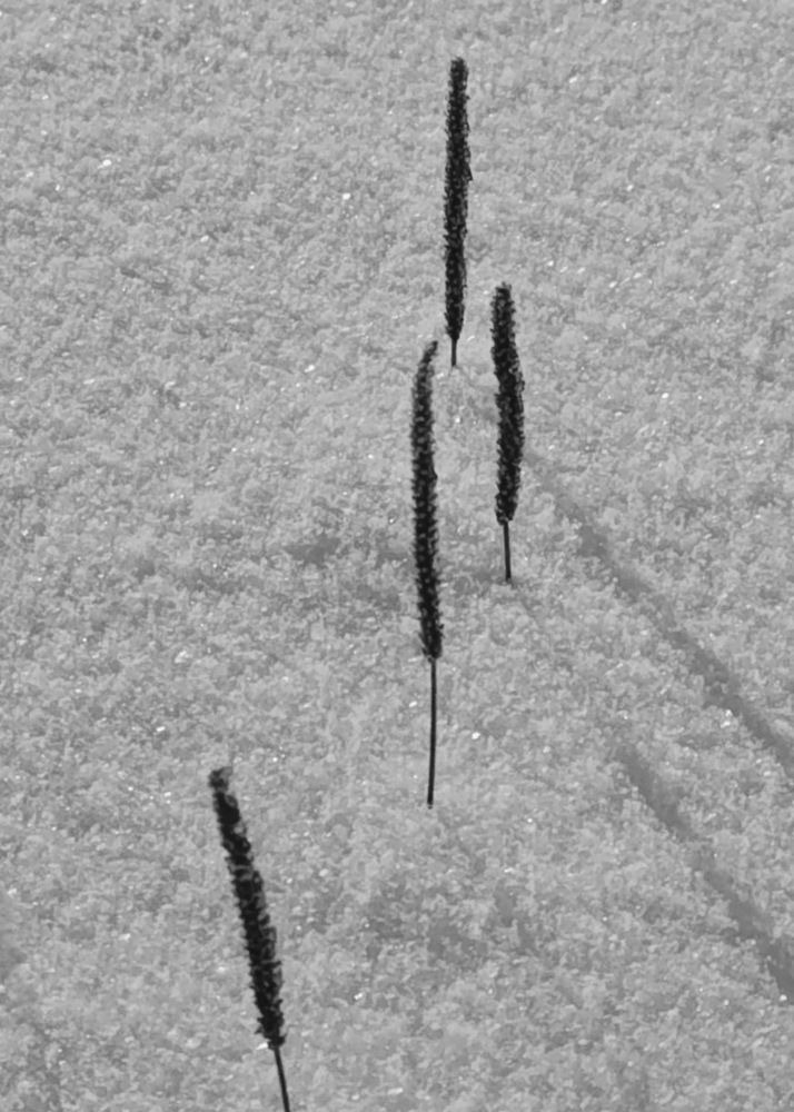 Photograph by Наталья Смирнова