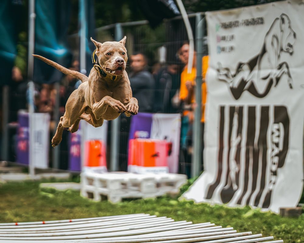 Jump
