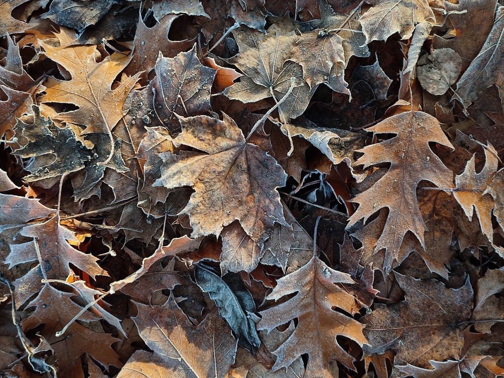 Photograph by Инна Новикова