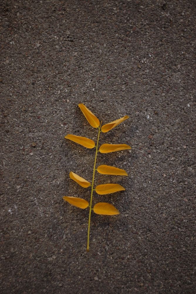 Photograph by Анастасия Конюхова