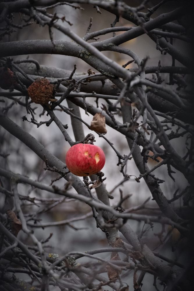 Фотография автора Александров Алексей