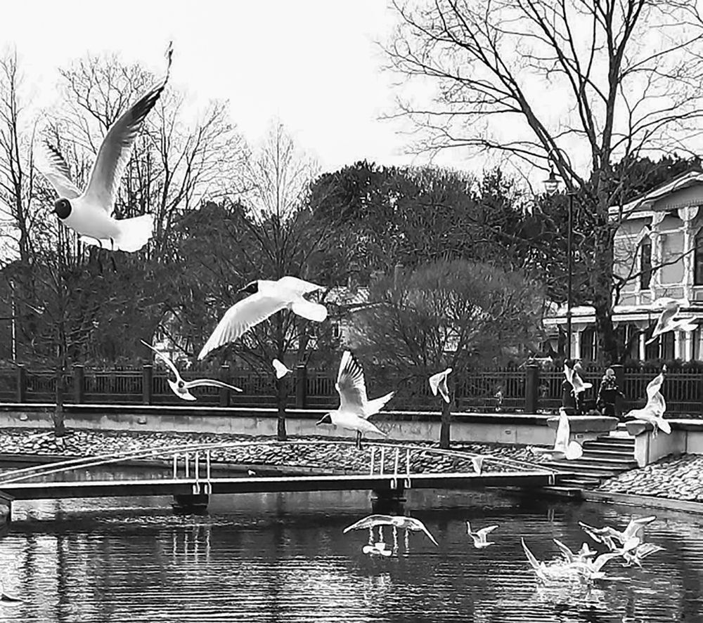 Photograph by ILONA KILA