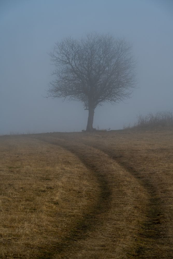 Фотография автора Павел Олту