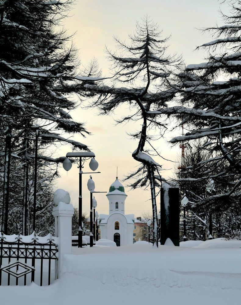 Photograph by Лариса Ким