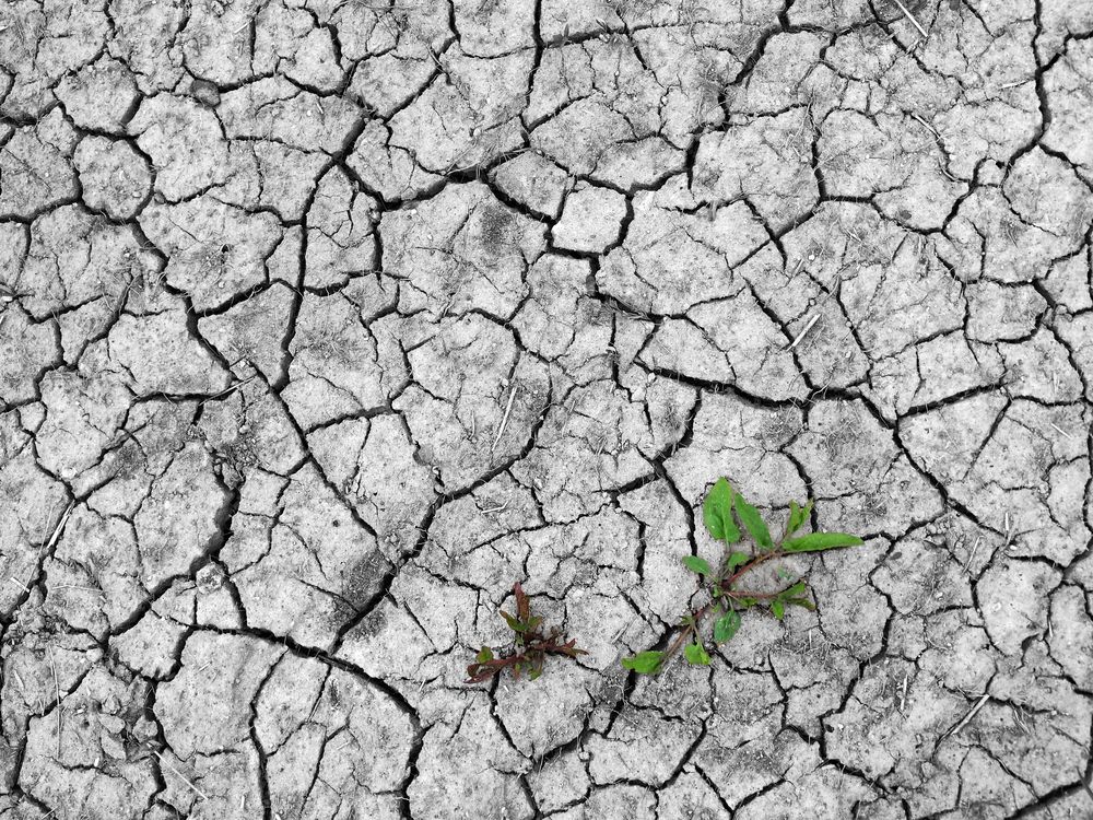 Photograph by Марианна Браун