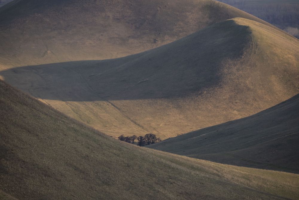 Photograph by Елена Перминова