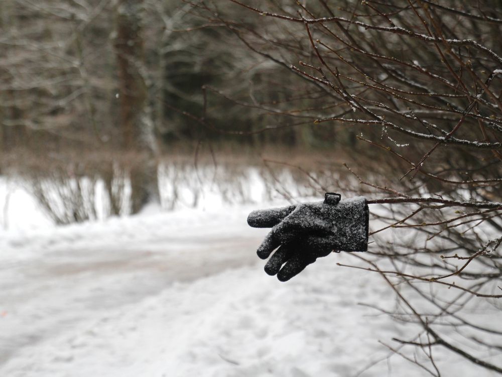 Photograph by Марианна Браун