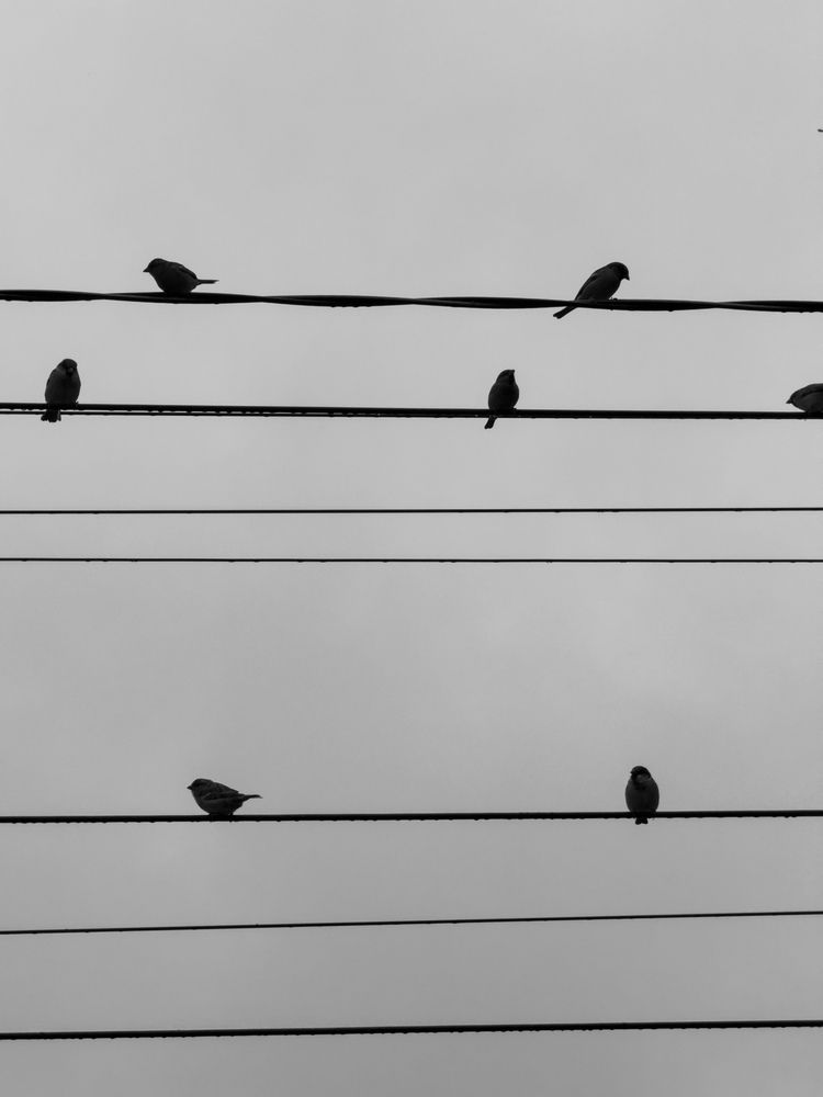 Photograph by Анна Голубцова