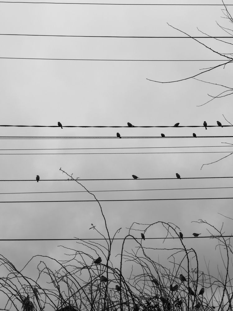 Photograph by Анна Голубцова