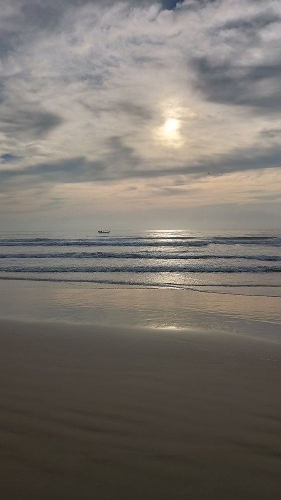 Photo #12934290