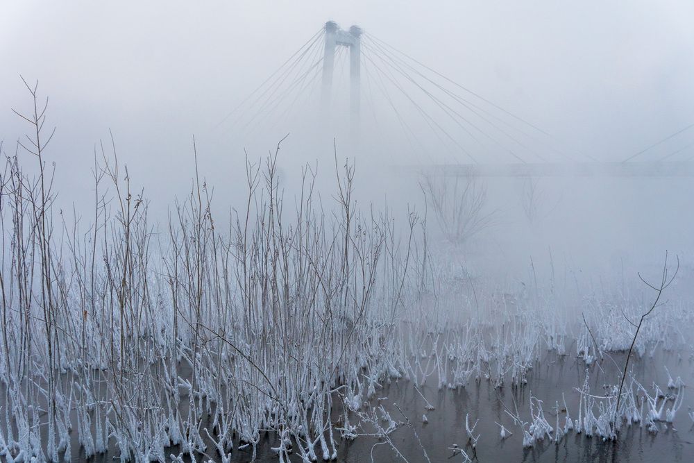 Photograph by Александр Пургин