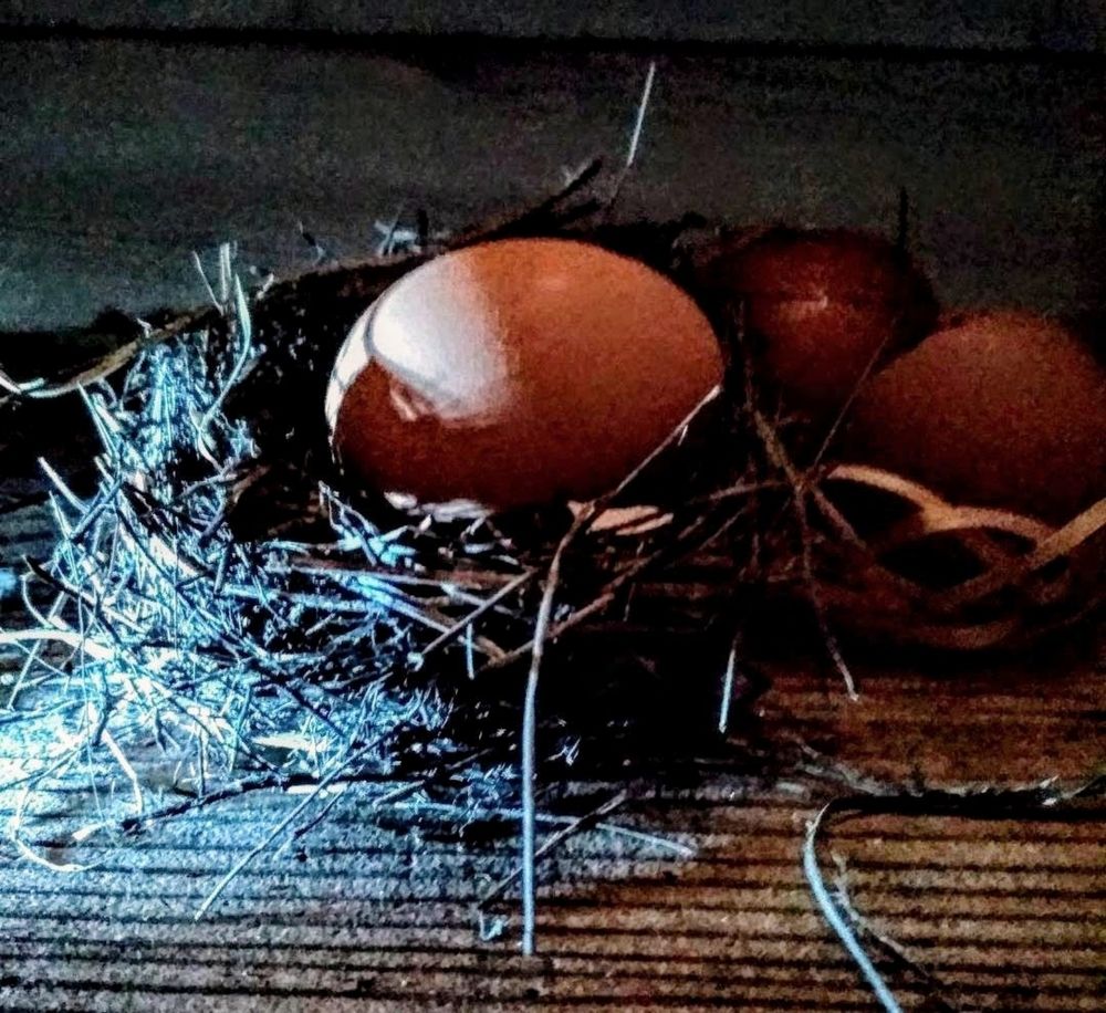 Photograph by Анна Андреевна