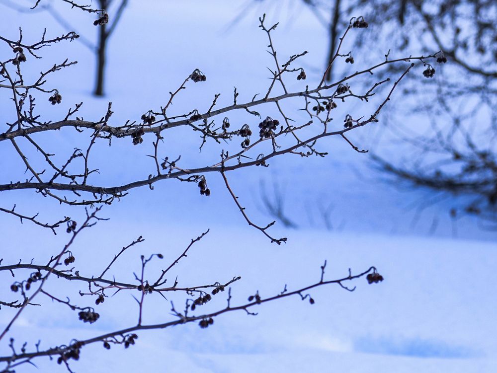 Фотография автора Катрин Евстратова