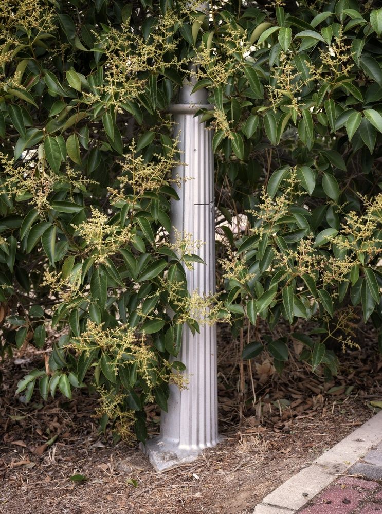 Photograph by José Ramón Domínguez