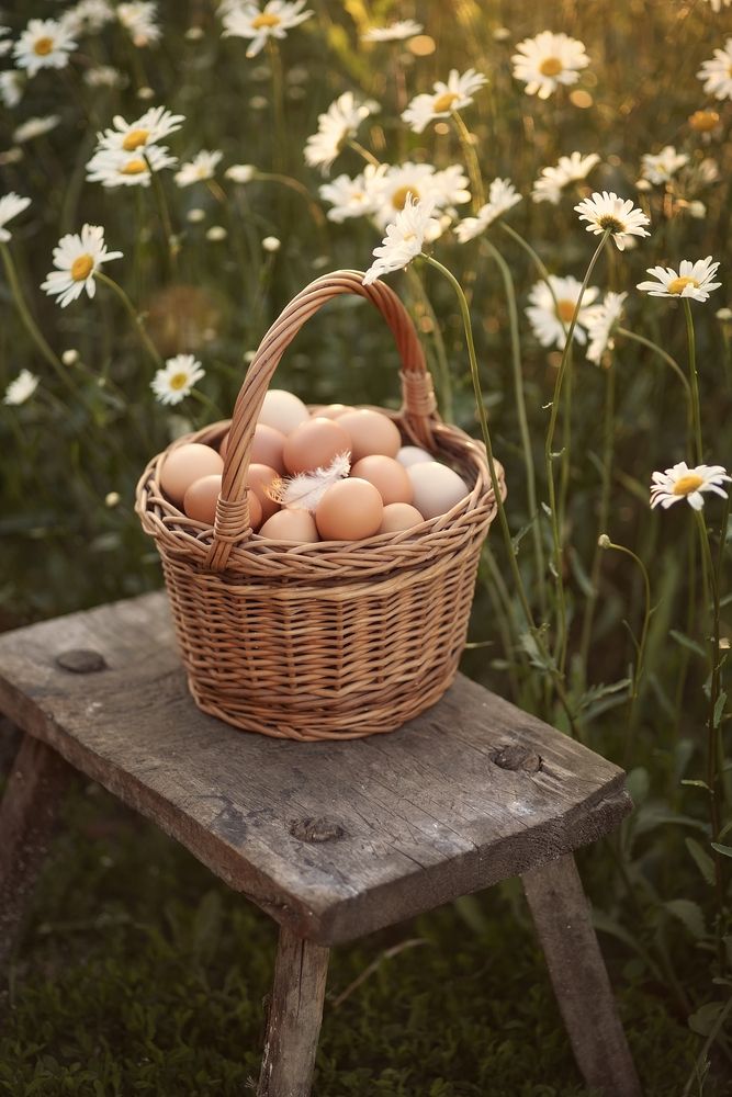 Photograph by Елена Косинова