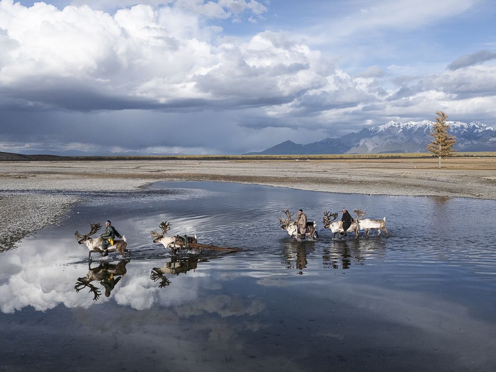 Photograph by Марина Маликова