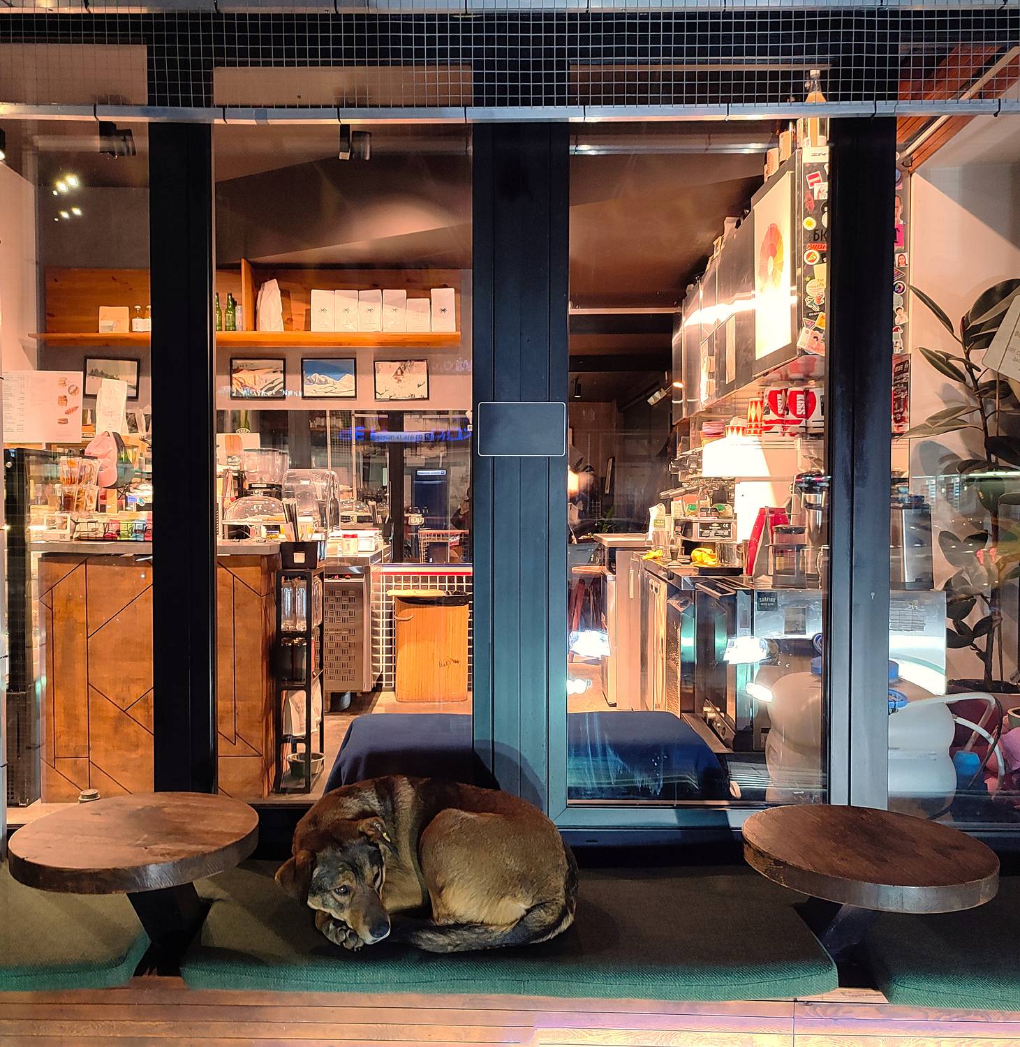 Бездомник / Homeless Бездомник / Homeless