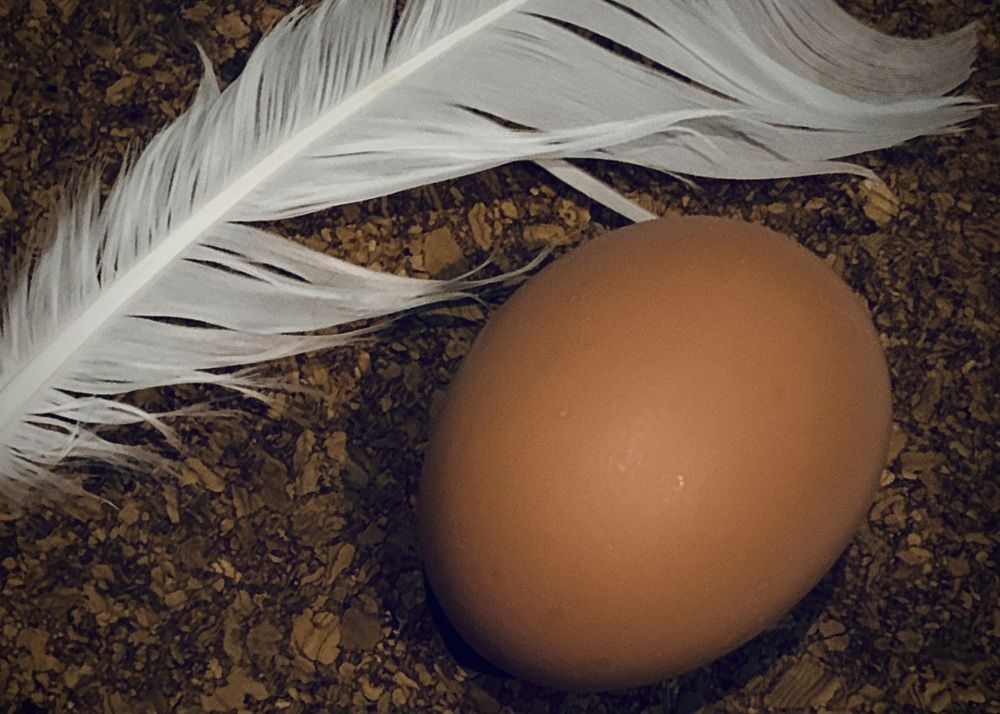 Photograph by Надежда Смирнова