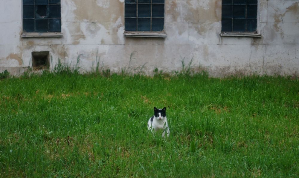 Photograph by Anastasia Brus