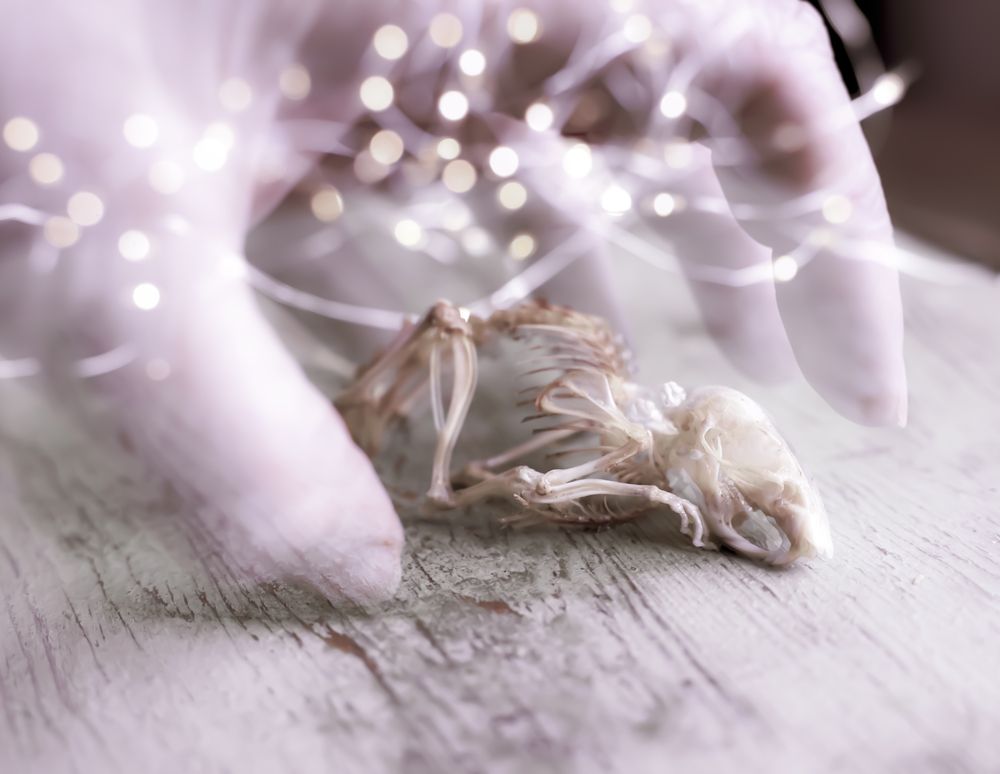 Dzīvības pieskāriens, kas kavējas