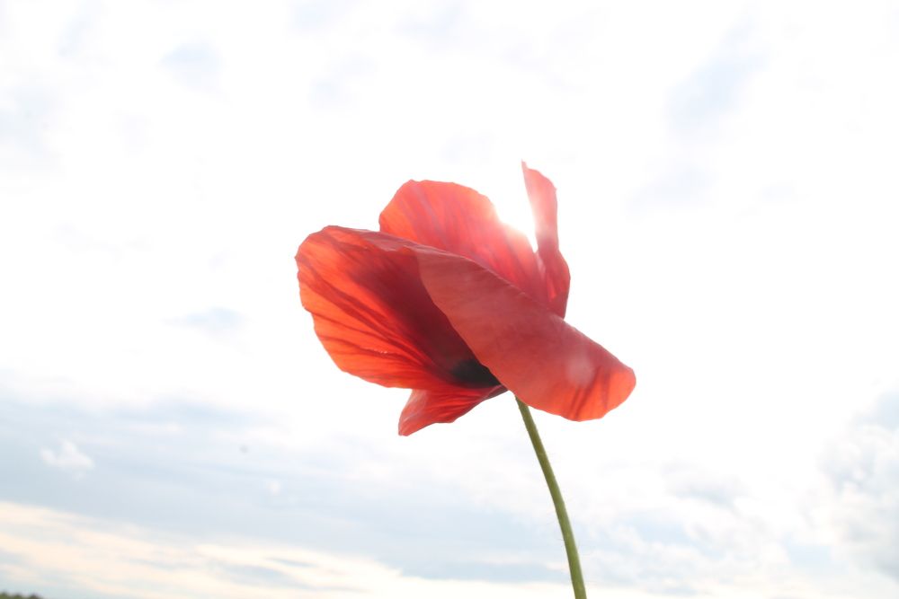 Photograph by Кирилл Елесин