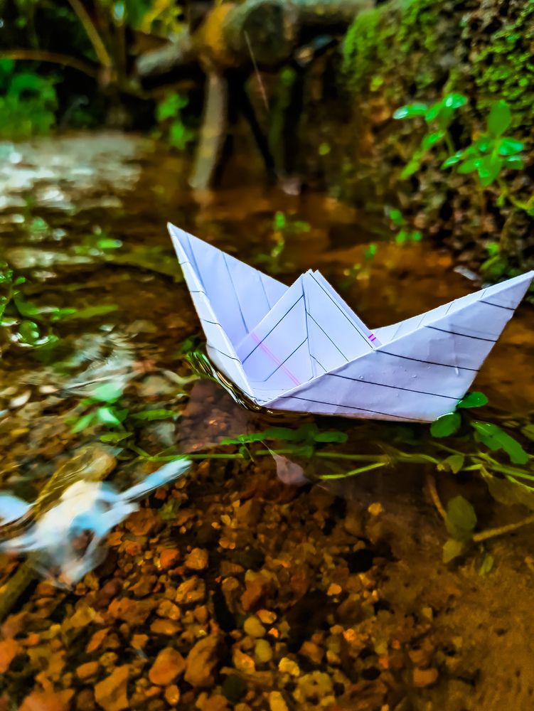 Photograph by SHRIYAKSHI